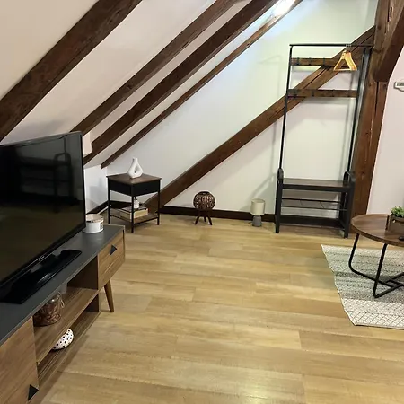 Muresenilor Apartment *