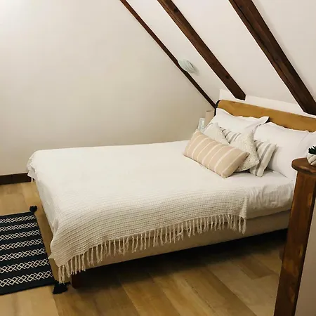 Muresenilor Apartment *